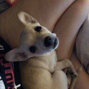 Meet your Posher, Mariah